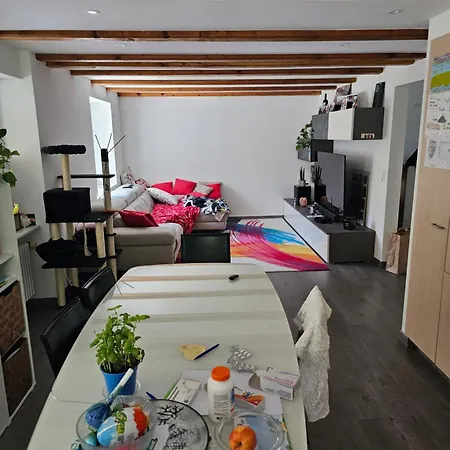 Bernina Express House *